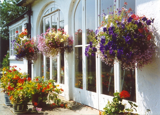 Judy's Flower Baskets